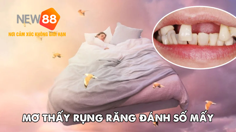 Giải Mã Giấc Mơ Nằm Mơ Thấy Rụng Răng – Điềm Gì Đang Đến Với Bạn? 9 Mơ thấy rụng răng đánh số mấy?