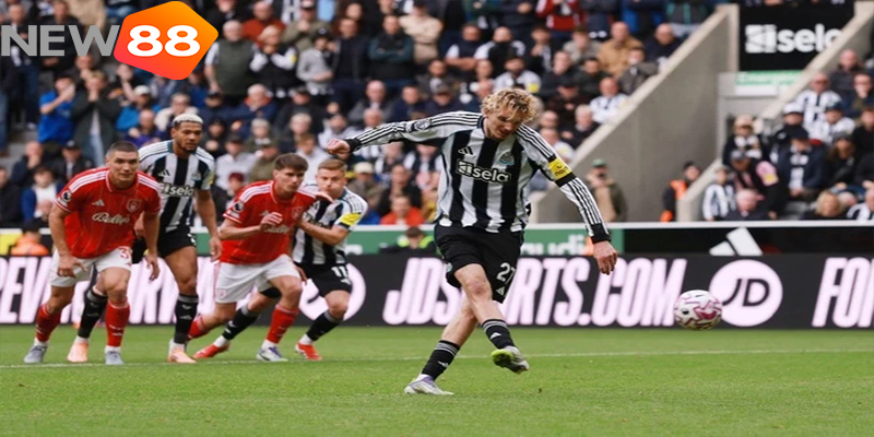 Woltemade Gây Sốt Tại Newcastle Khi Giá Trị Tăng Hơn 800% 7 Ăn mừng bàn thắng cùng đồng đội